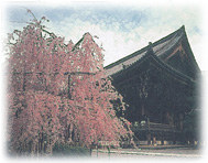 知恩院